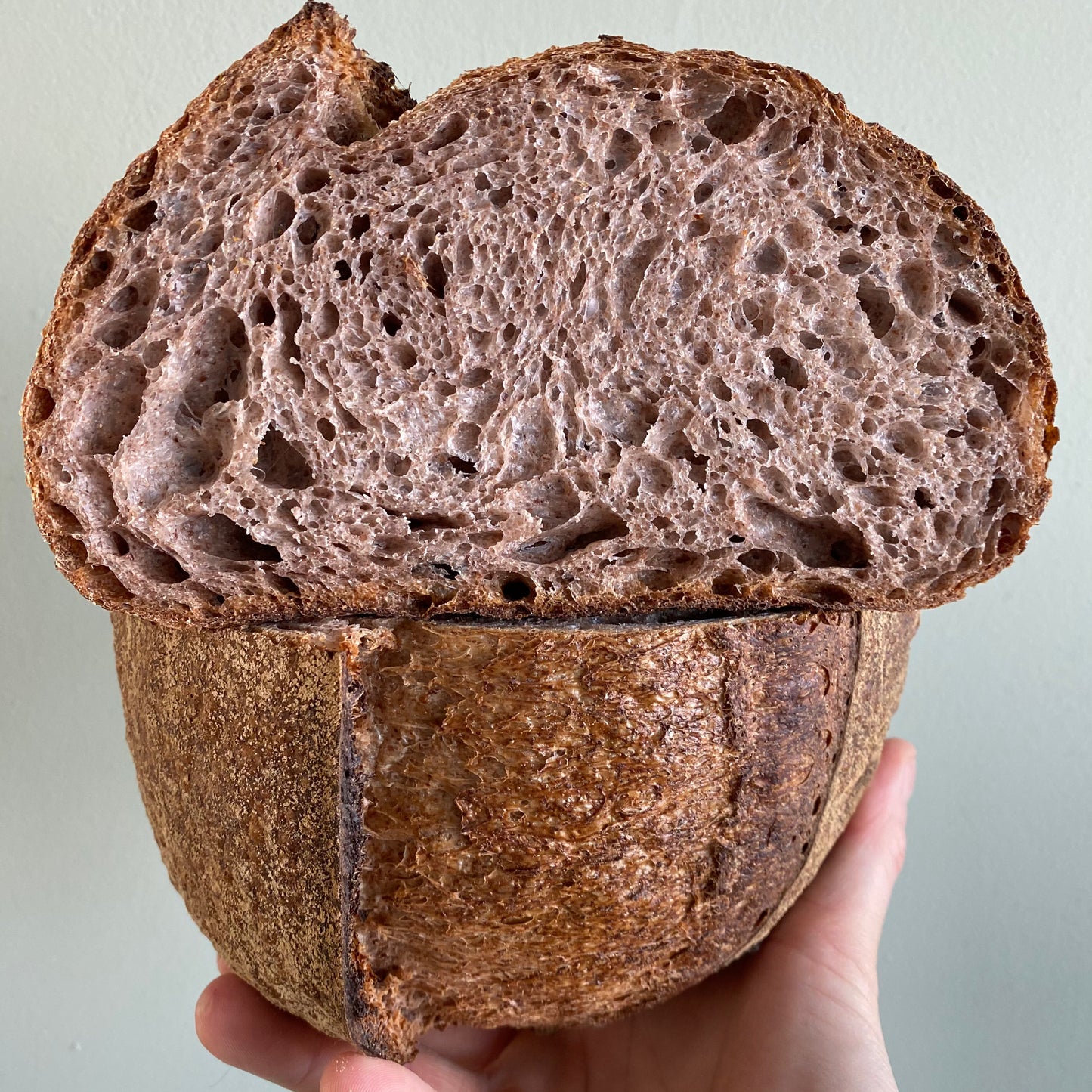 Rode tarwe volkoren brood