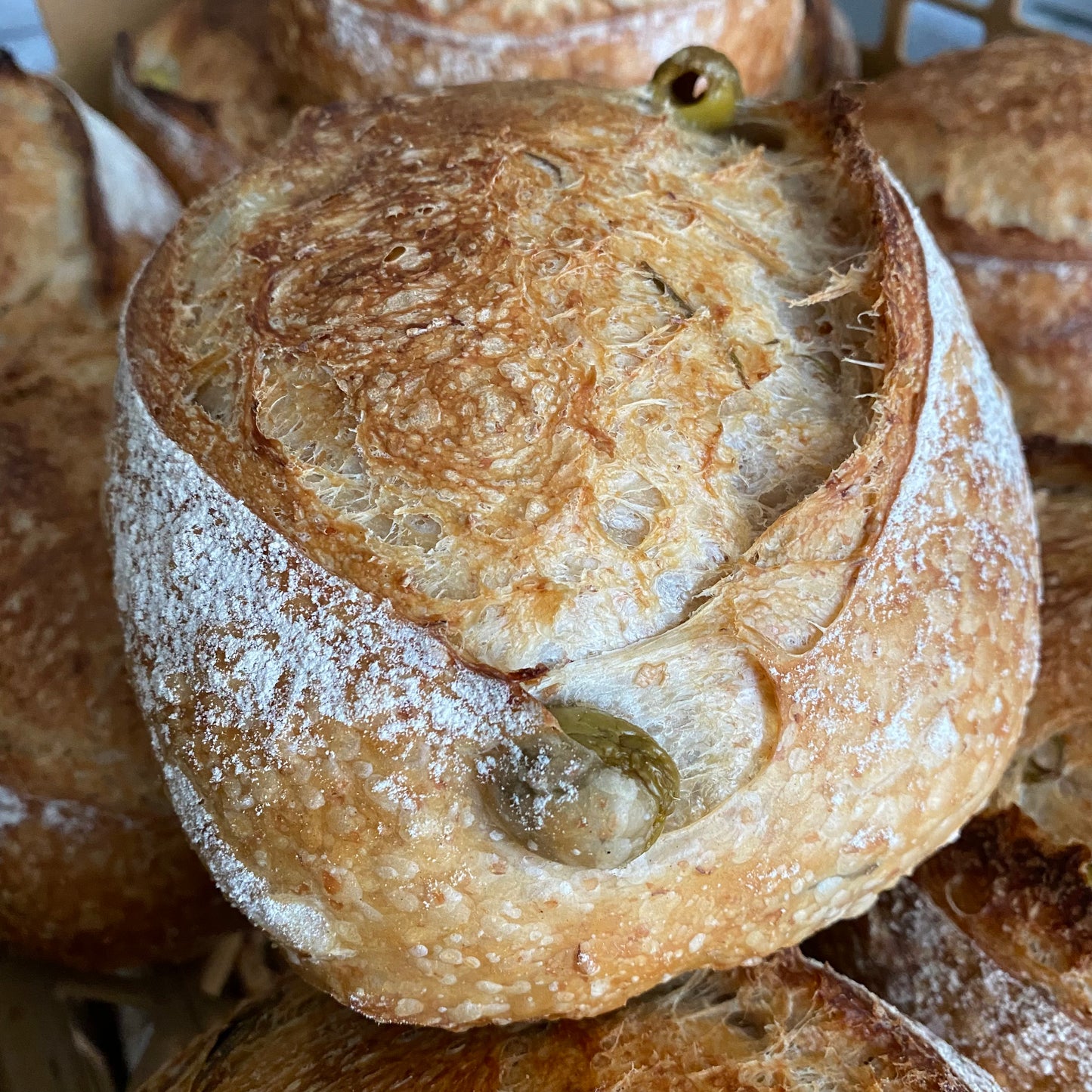 Olijf Rozemarijn brood