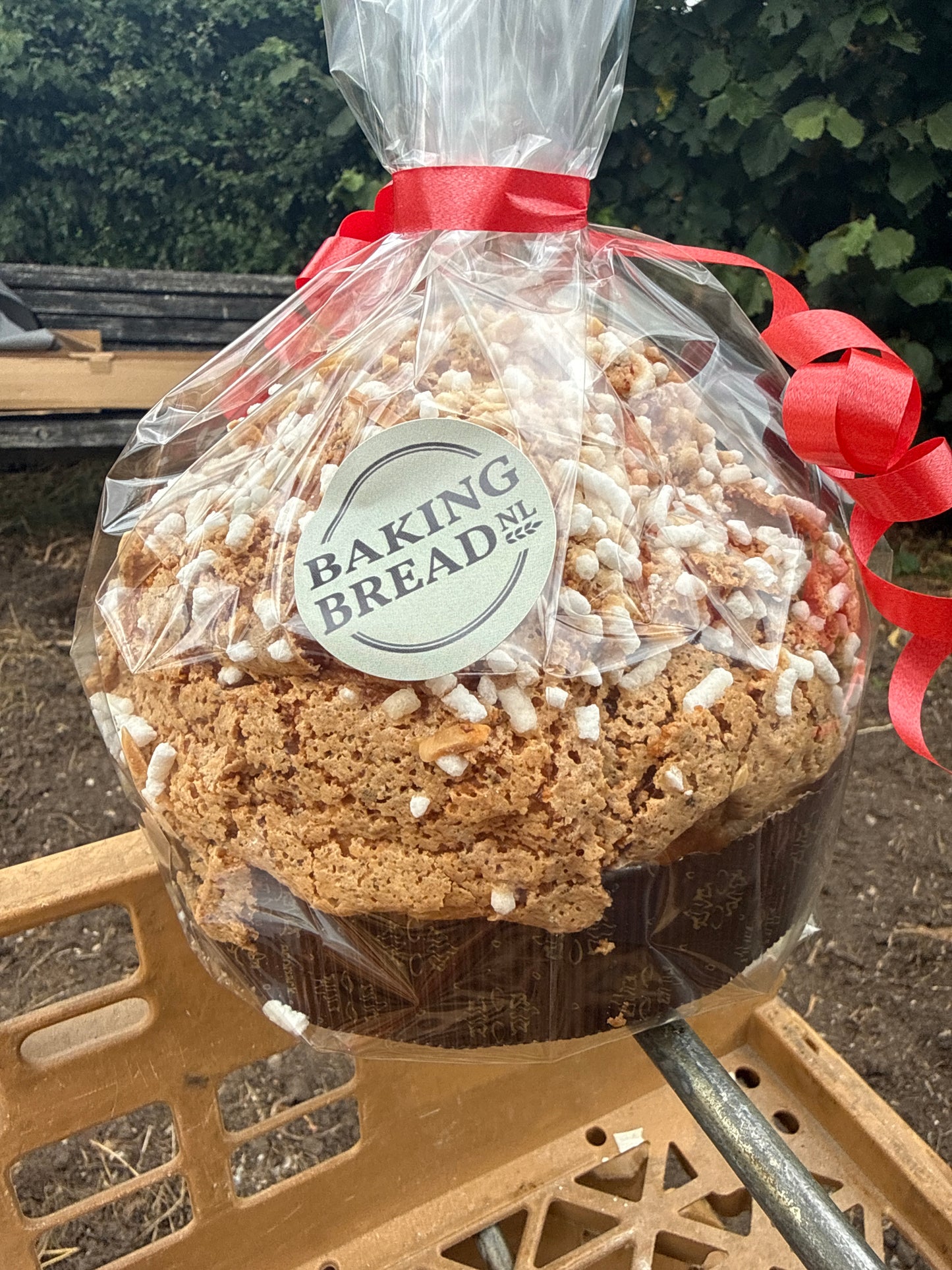Panettone amarene kers klein