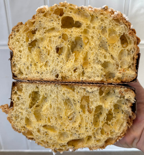 Panettone citroen maanzaad witte chocolade