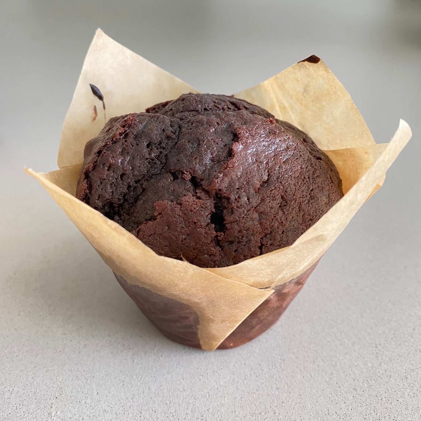 Chocolade muffin
